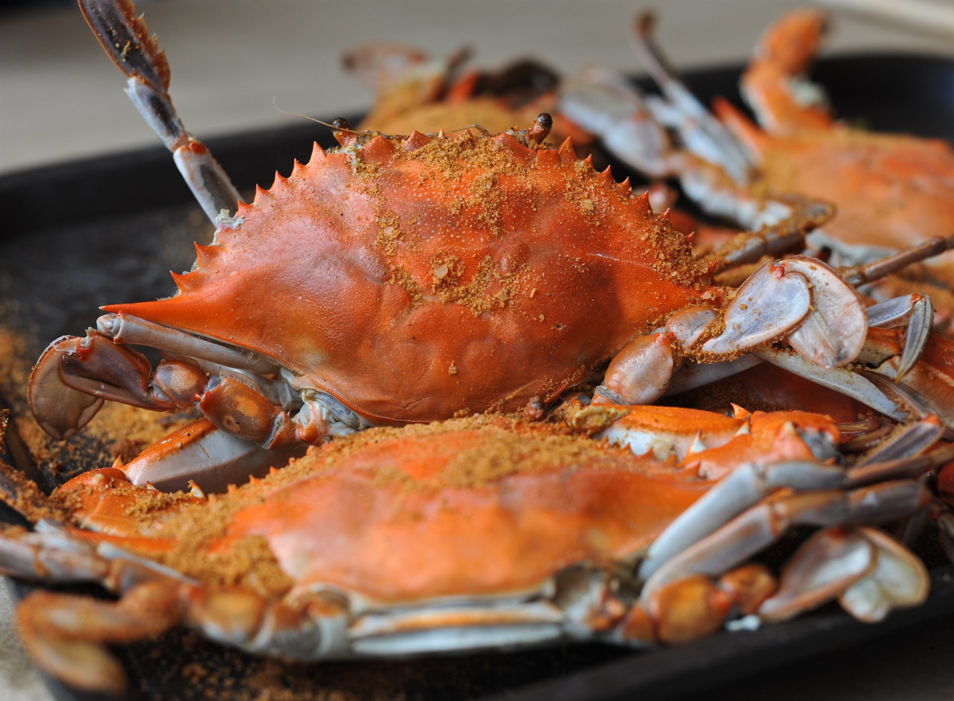 Annual Eagle Harbor Crab Feast